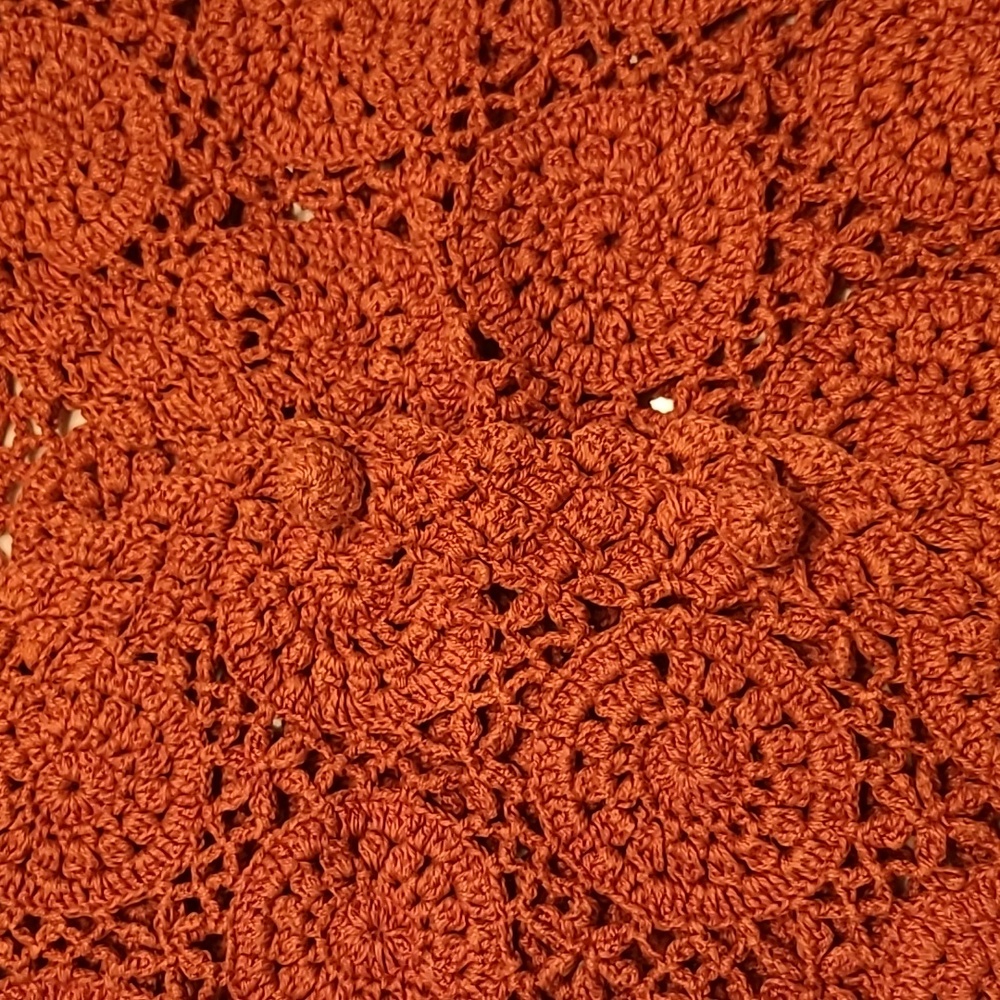 OBR Rust Orange Crochet Button-Front Sweater Vest Medium - Picture 3 of 9